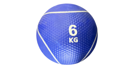 Taurus Medicijnbal - 1 t/m 10 kilo
