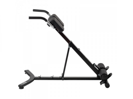 Darwin Hyperextension Rugtrainer