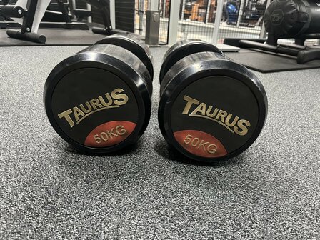 Taurus Dumbbell 50 KG