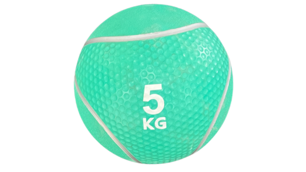 Taurus Medicijnbal - 1 t/m 10 kilo