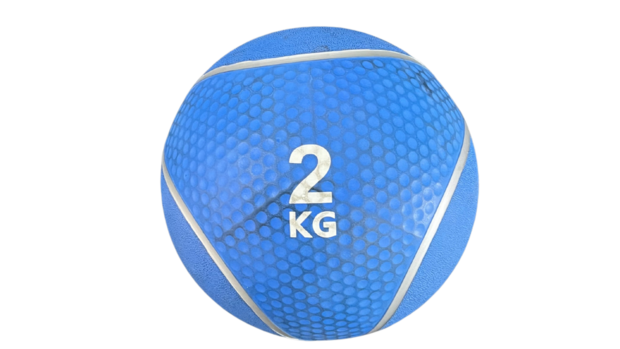 Taurus Medicijnbal - 1 t/m 10 kilo