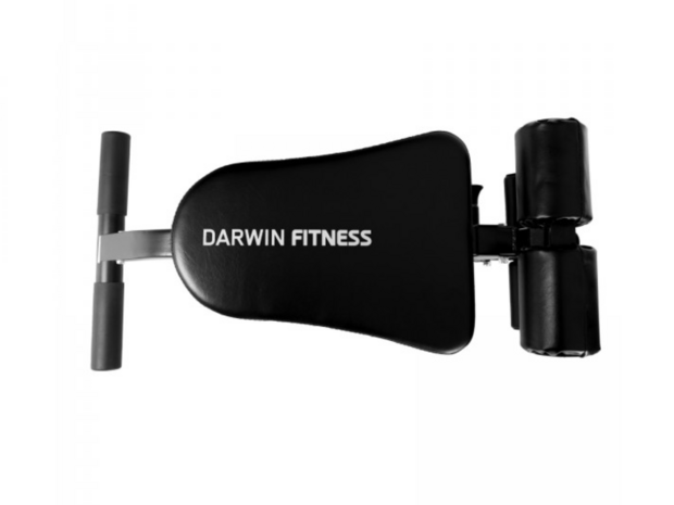 Darwin Fitness Buik- en Rugtrainer - Trainingsbank