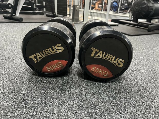 Taurus Dumbbell 50 KG