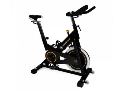 Darwin Indoor Bike Evo 30