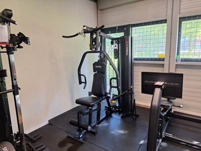 Taurus Krachtstation WS3